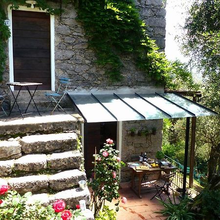 Il Giaggiolo Villa Camaiore Eksteriør bilde