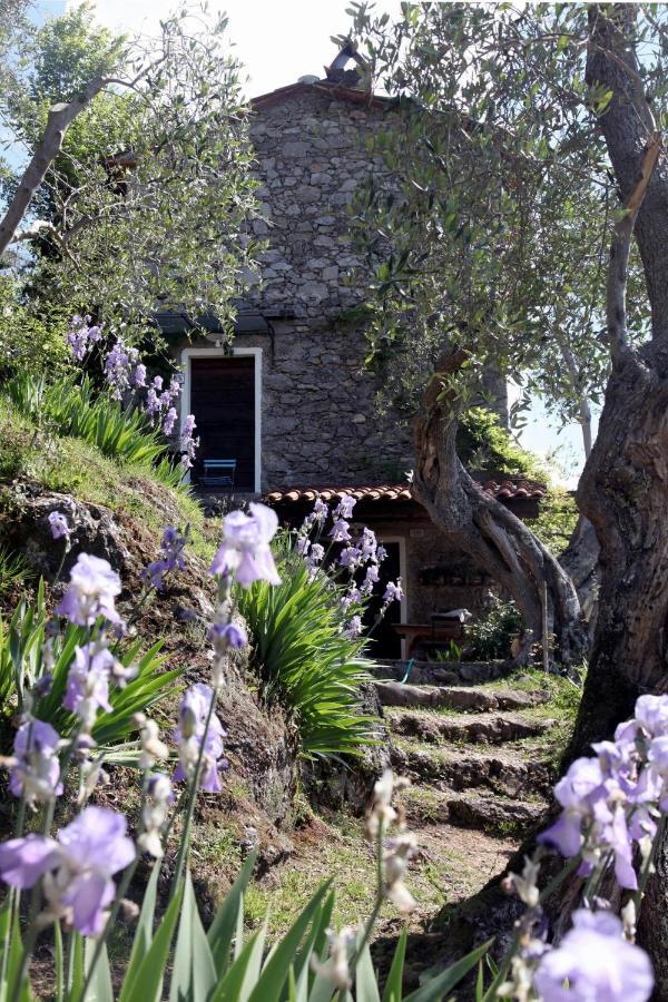 Il Giaggiolo Villa Camaiore Eksteriør bilde
