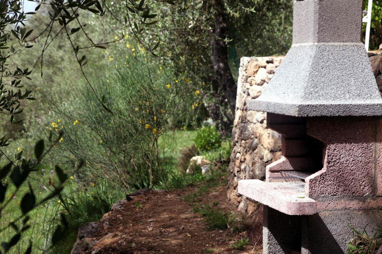 Il Giaggiolo Villa Camaiore Eksteriør bilde