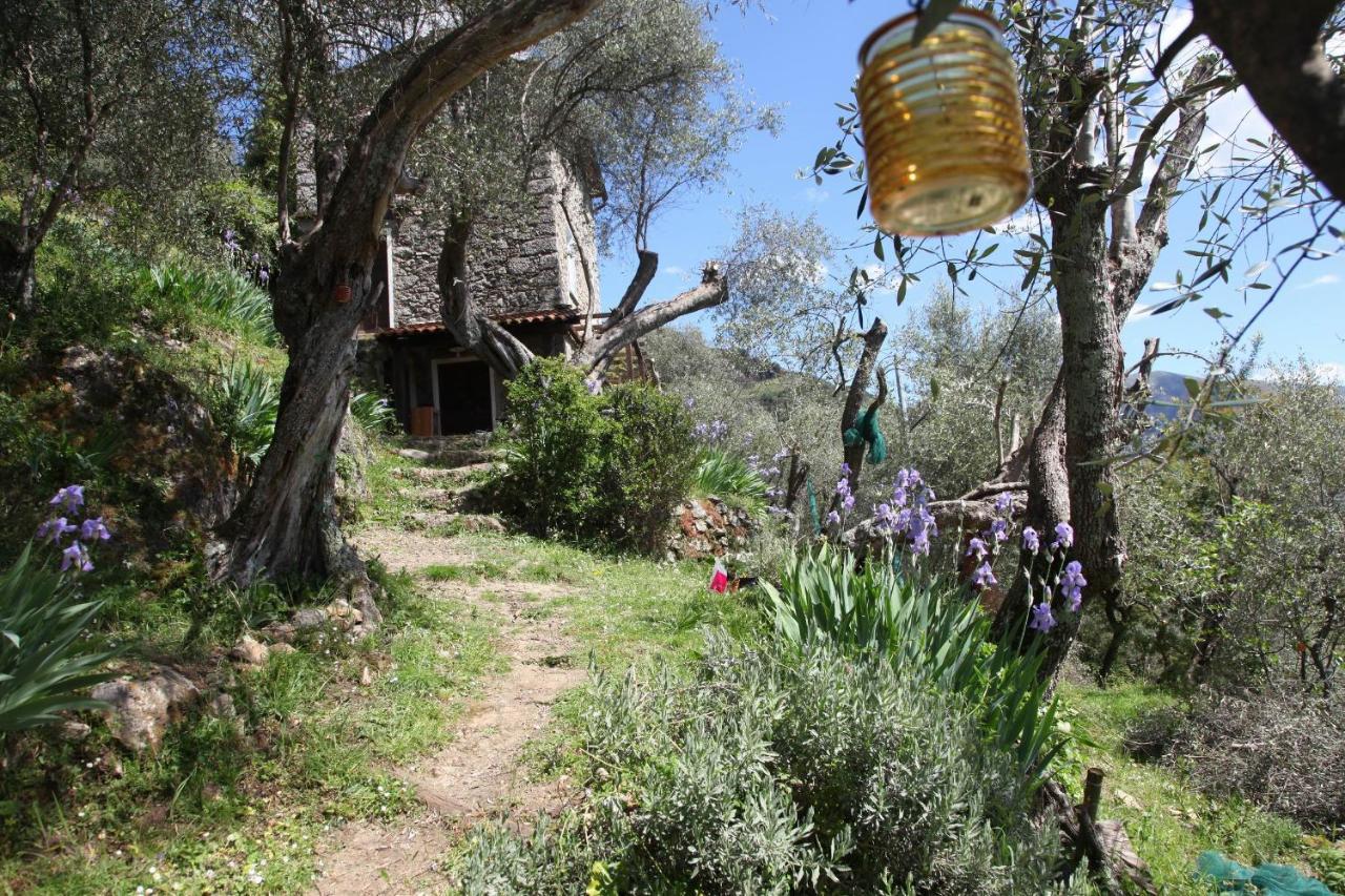 Il Giaggiolo Villa Camaiore Eksteriør bilde