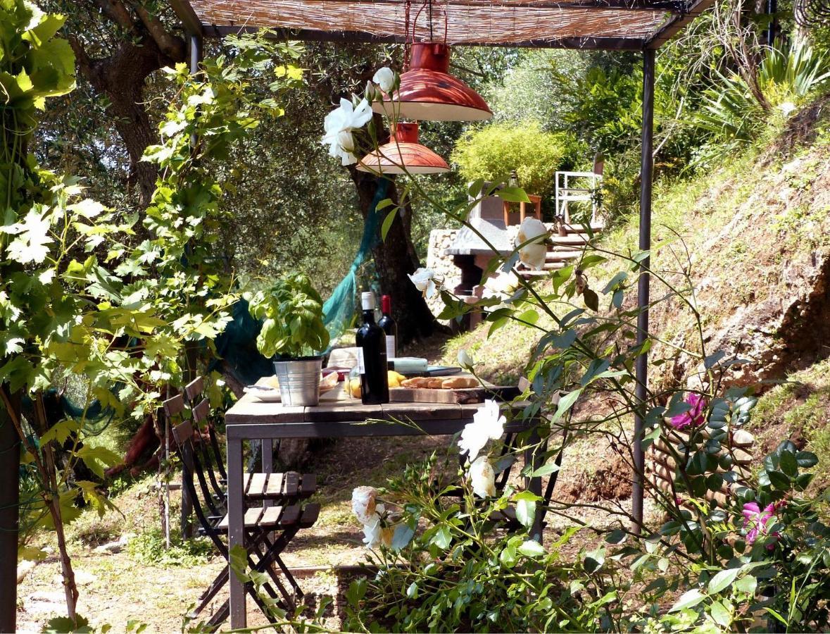 Il Giaggiolo Villa Camaiore Eksteriør bilde